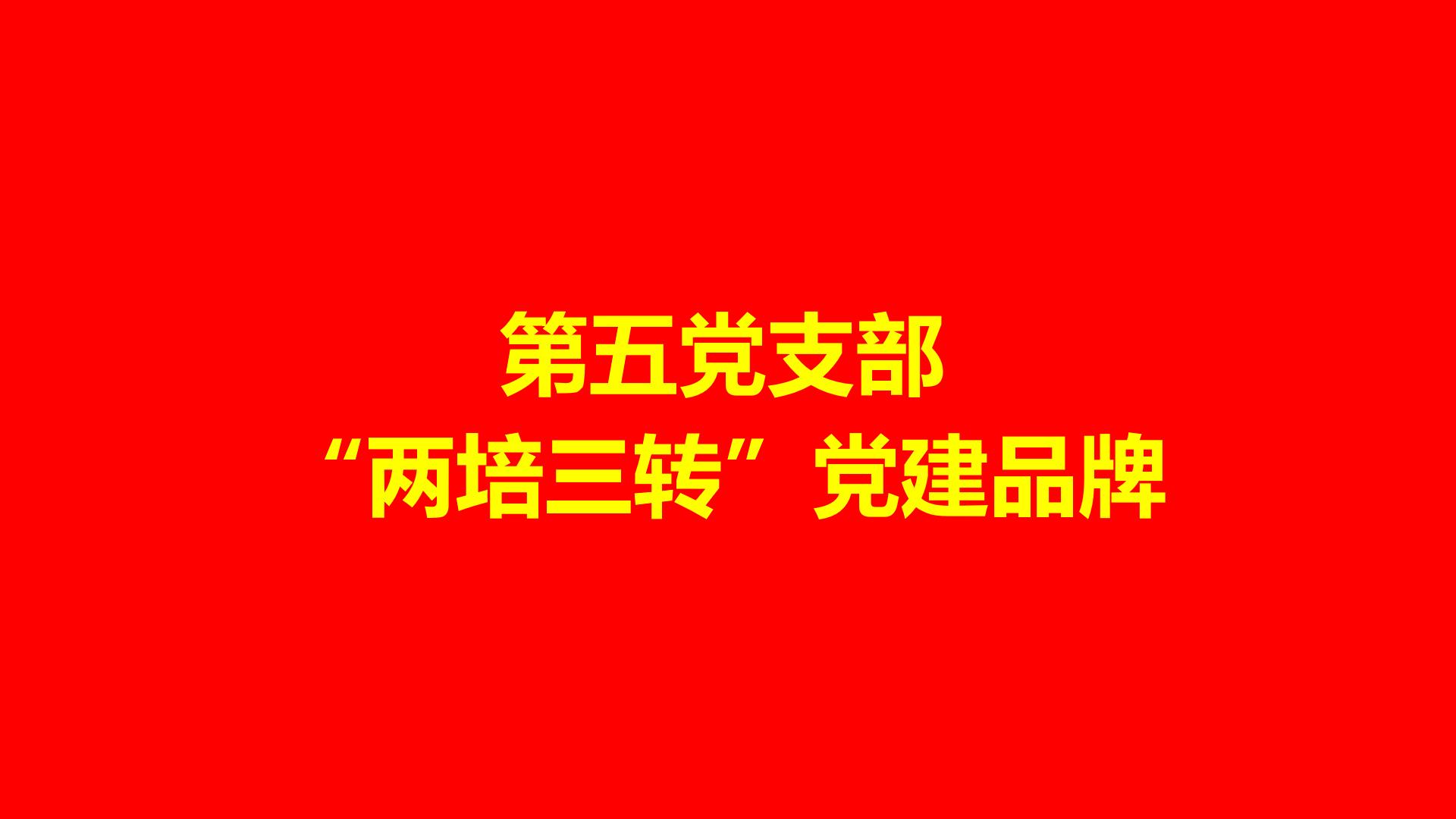 第五党支部